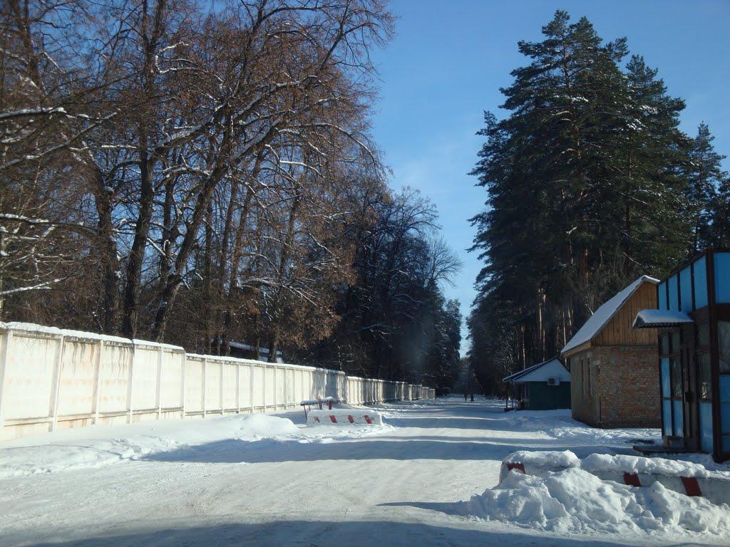 Дзюбівка з panoramio.com - Дзюбовка