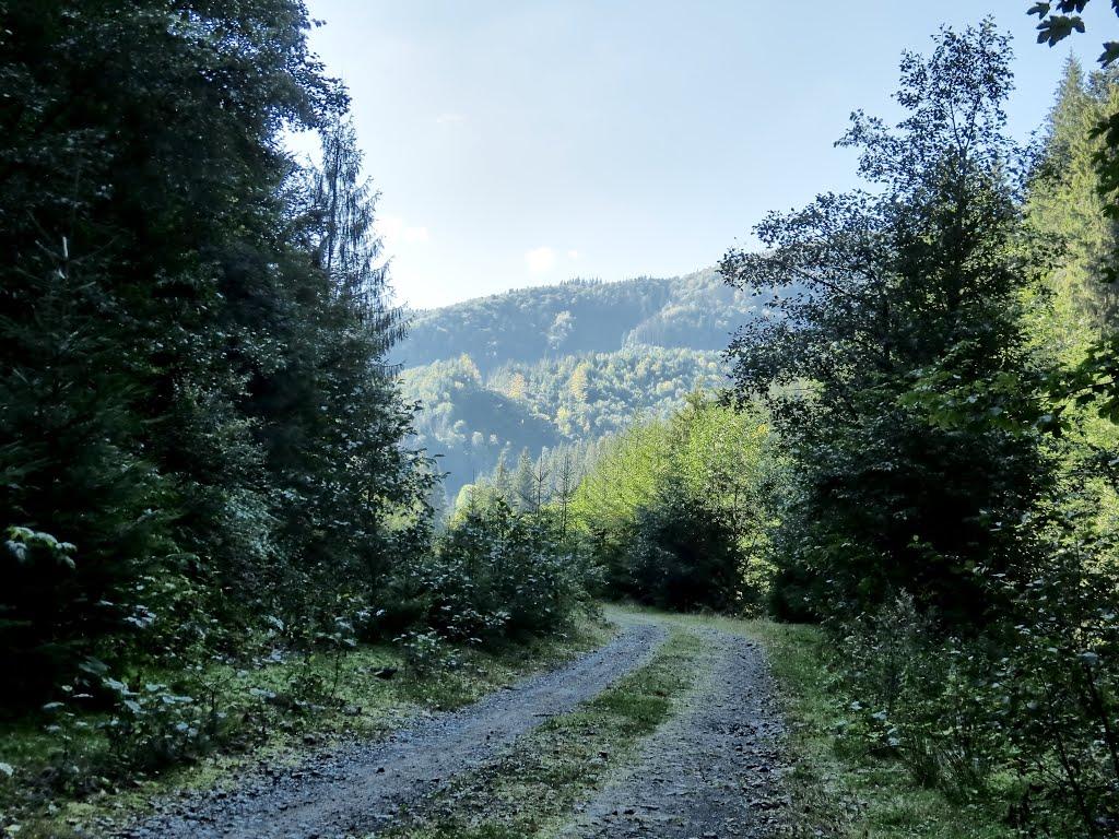 Нижня Рожанка з panoramio.com - Нижняя Рожанка