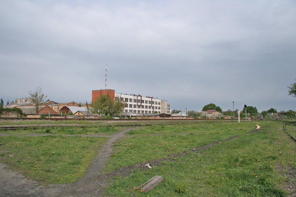 Прилуки з panoramio.com - Прилуки