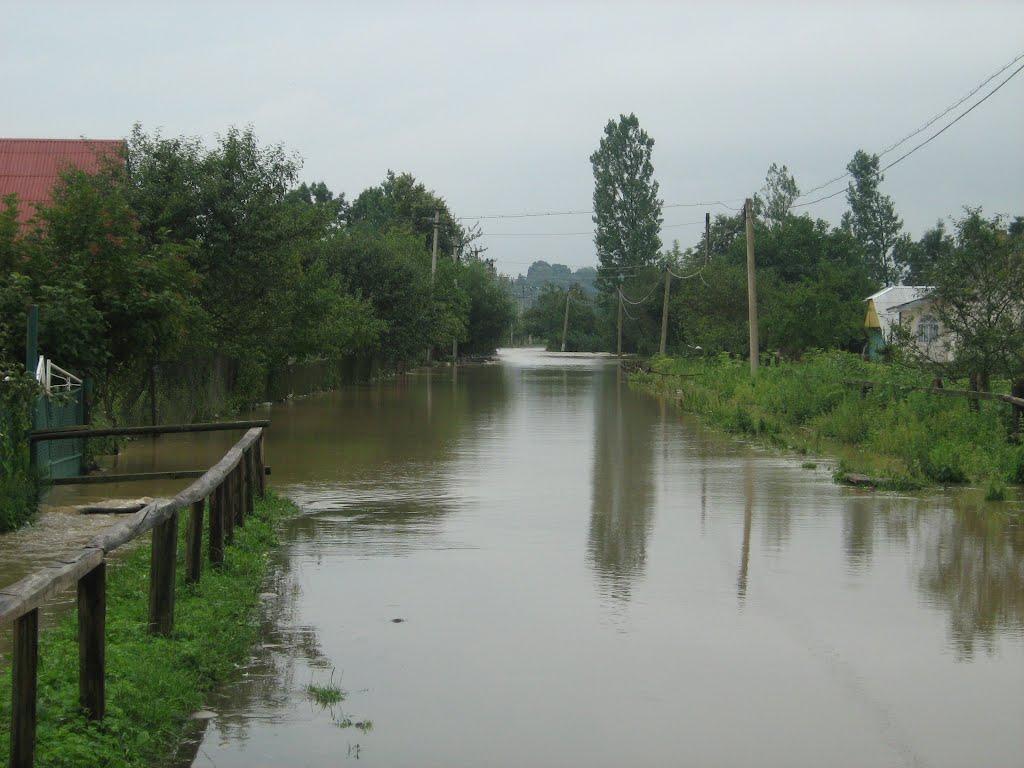 Ворона з panoramio.com - Ворона
