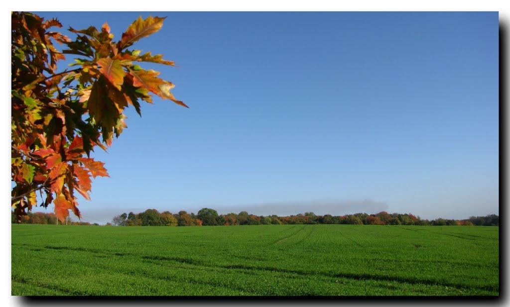 Букачівці з panoramio.com - Букачівці
