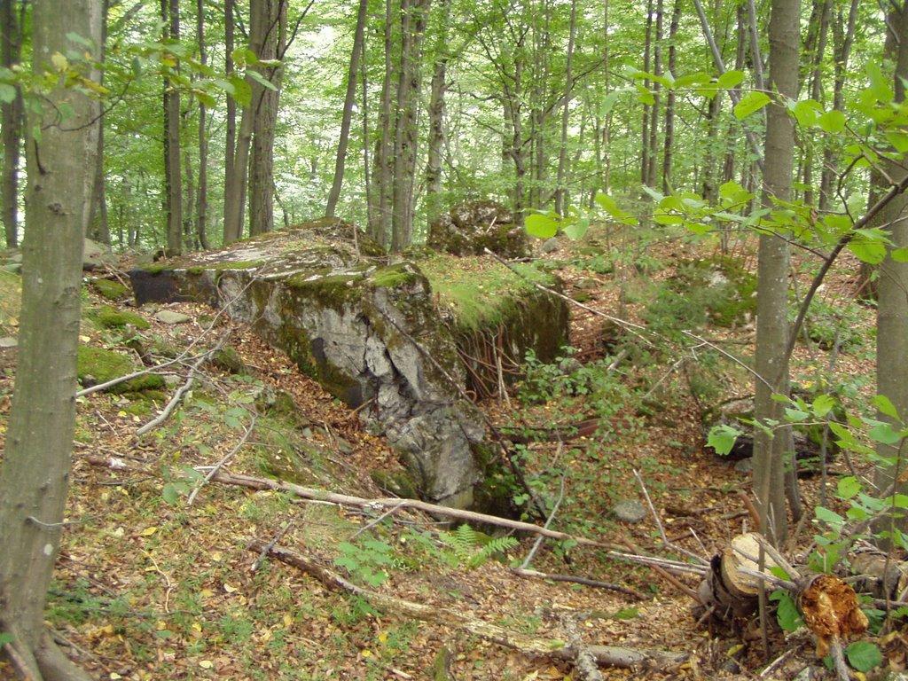 Стужиця з panoramio.com (ч.2) - Стужиця