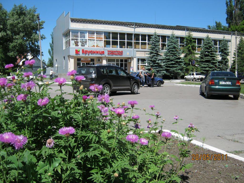Петропавлівка з panoramio.com - Петропавлівка