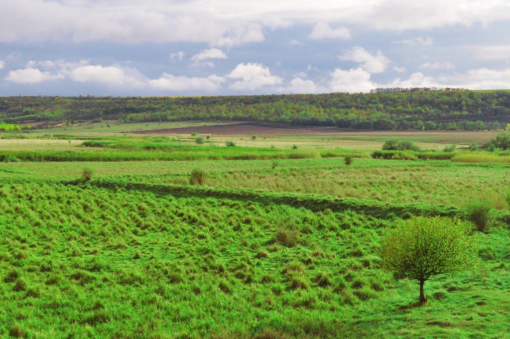 Кузнецове з panoramio.com - Kuznetsove