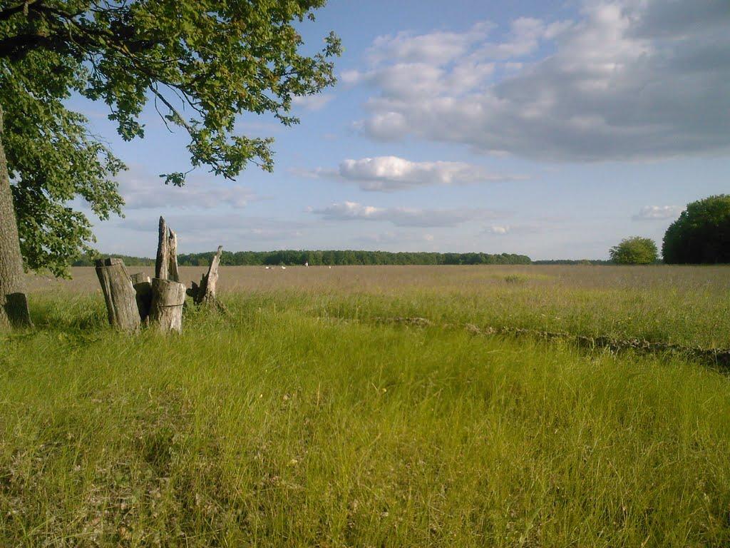 Дзюбівка з panoramio.com - Дзюбовка