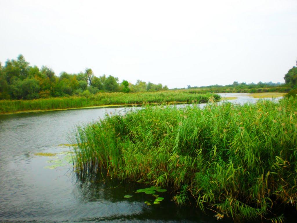 Гола Пристань з panoramio.com - Gola Prystan