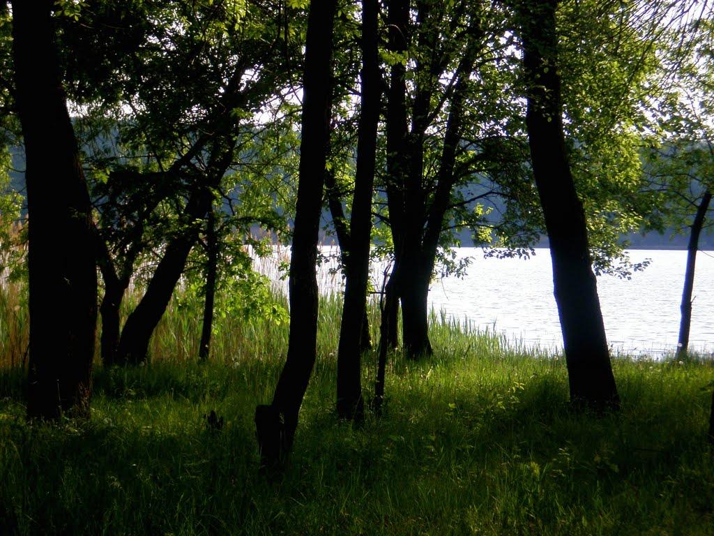 Олександрівське з panoramio.com - Олександрівське