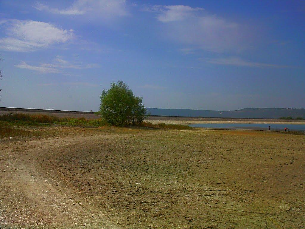 Дачне з panoramio.com - Дачное