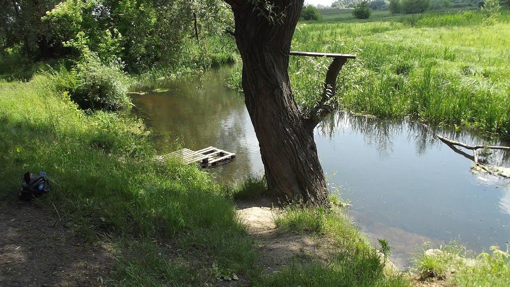 Сирники з panoramio.com - Сирники