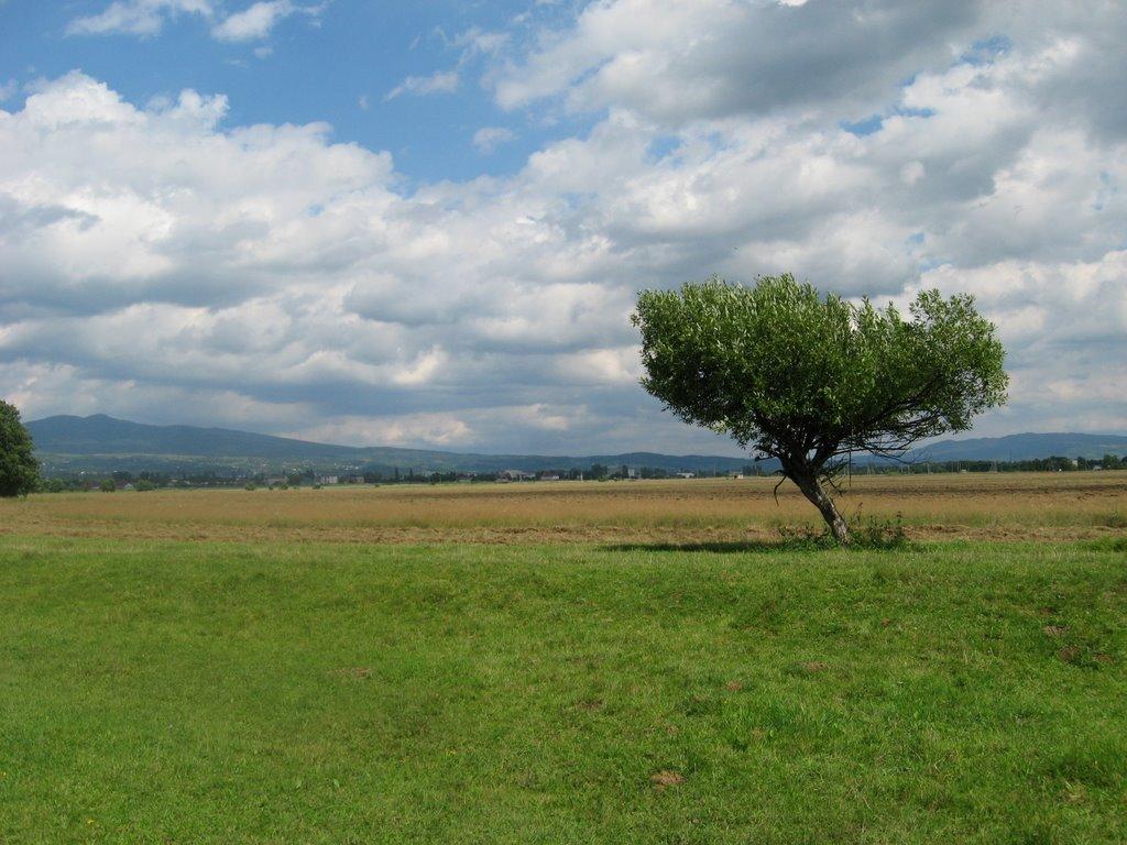 Іршава з panoramio.com - Иршава