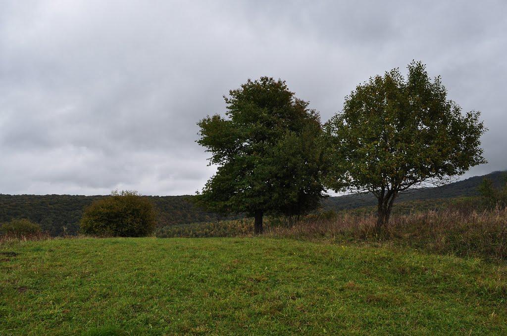 Завосина з panoramio.com (ч.2) - Завосина