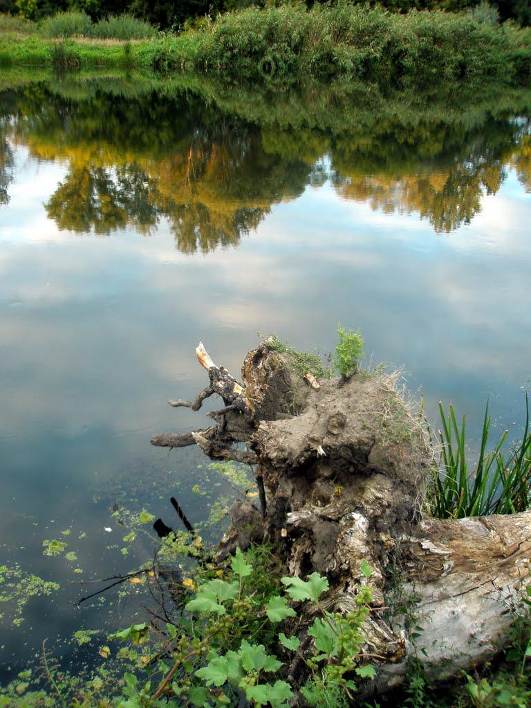 Довге з panoramio.com - Dovge