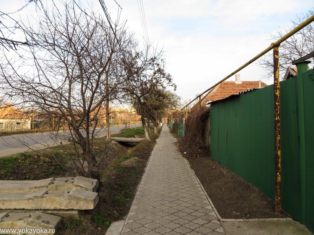 Токмак з panoramio.com - Токмак