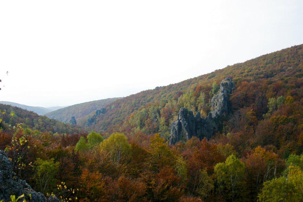 Підгірне з panoramio.com - Підгірне