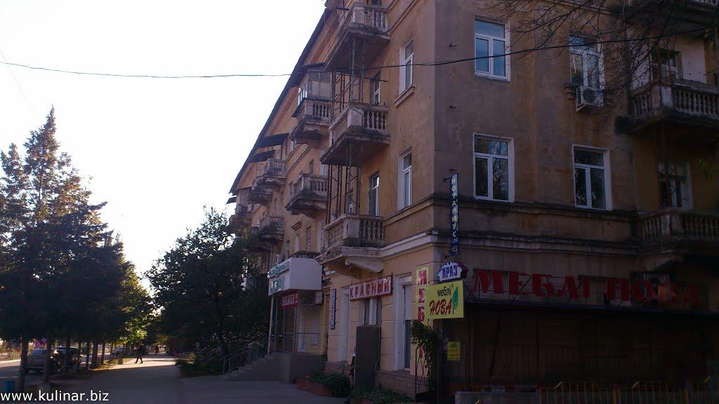 Токмак з panoramio.com - Токмак