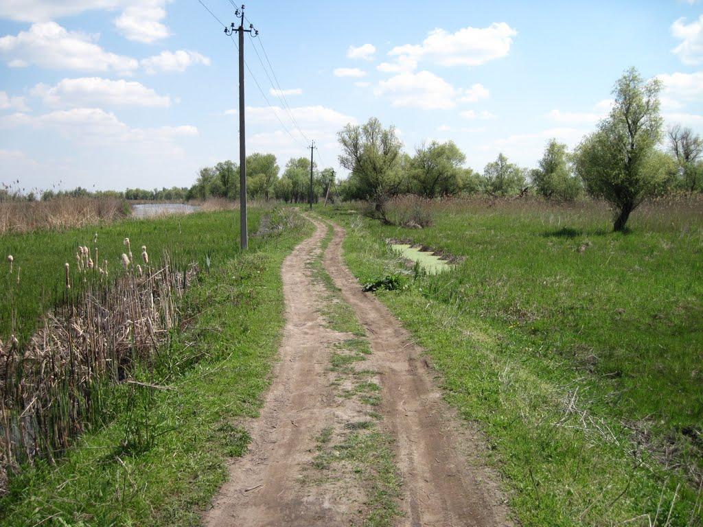 Гола Пристань з panoramio.com - Голая Пристань