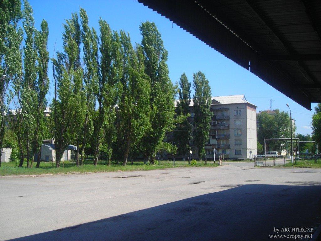 Чорнобиль з panoramio.com (ч.2) - Чернобыль