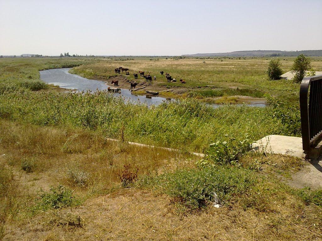 Петропавлівка з panoramio.com - Петропавлівка