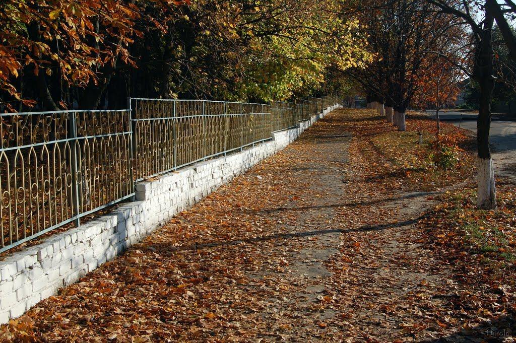 Новопсков з panoramio.com - Новопсков