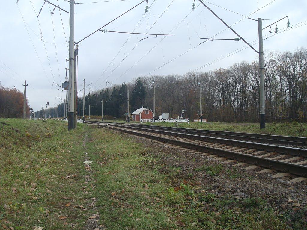 Криштопівка з panoramio.com - Криштопівка