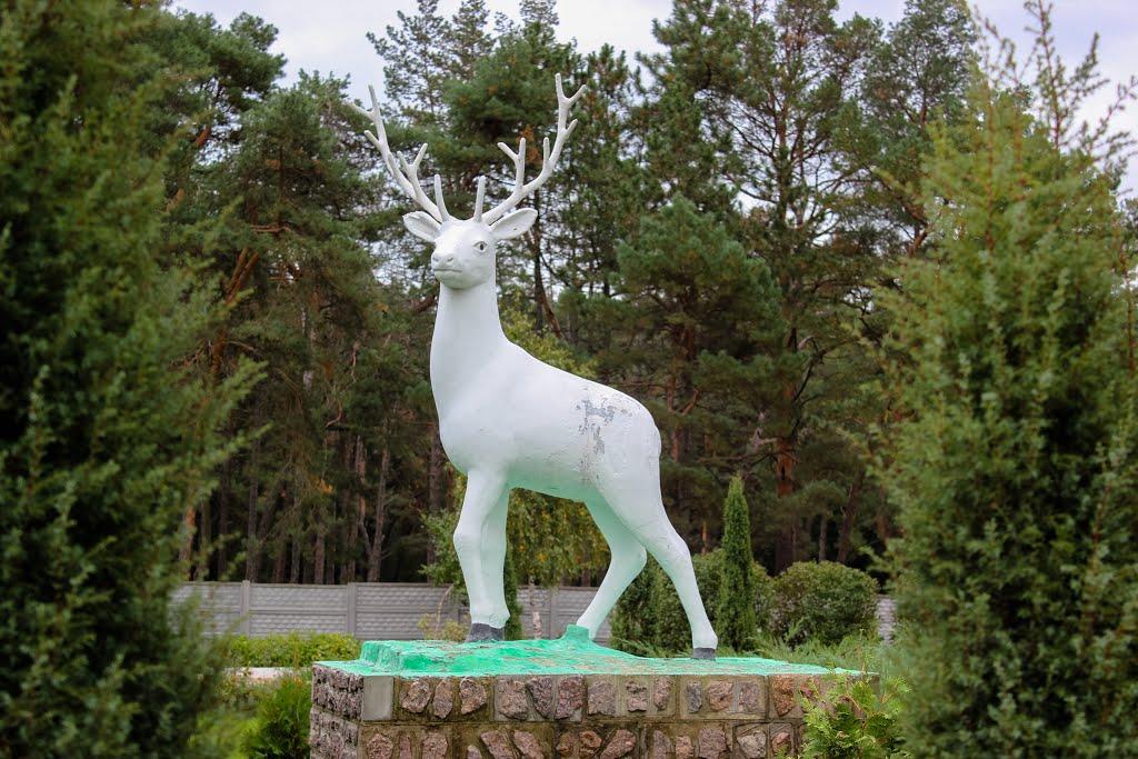 Олександрівка з panoramio.com - Олександрівка