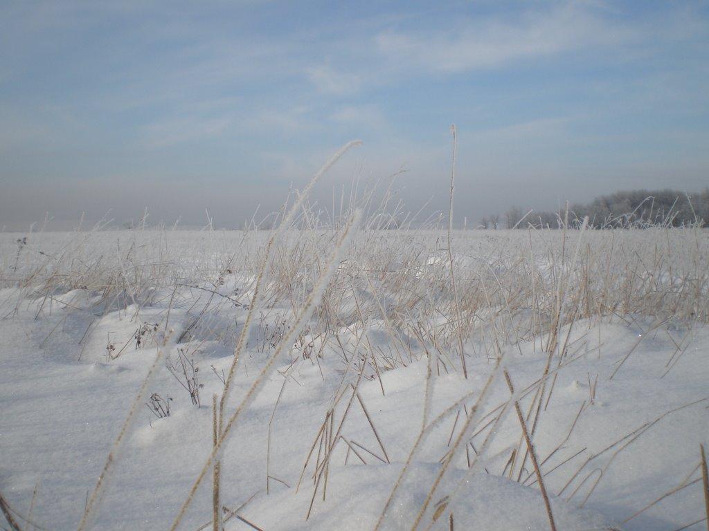 Петропавлівка з panoramio.com - Петропавлівка
