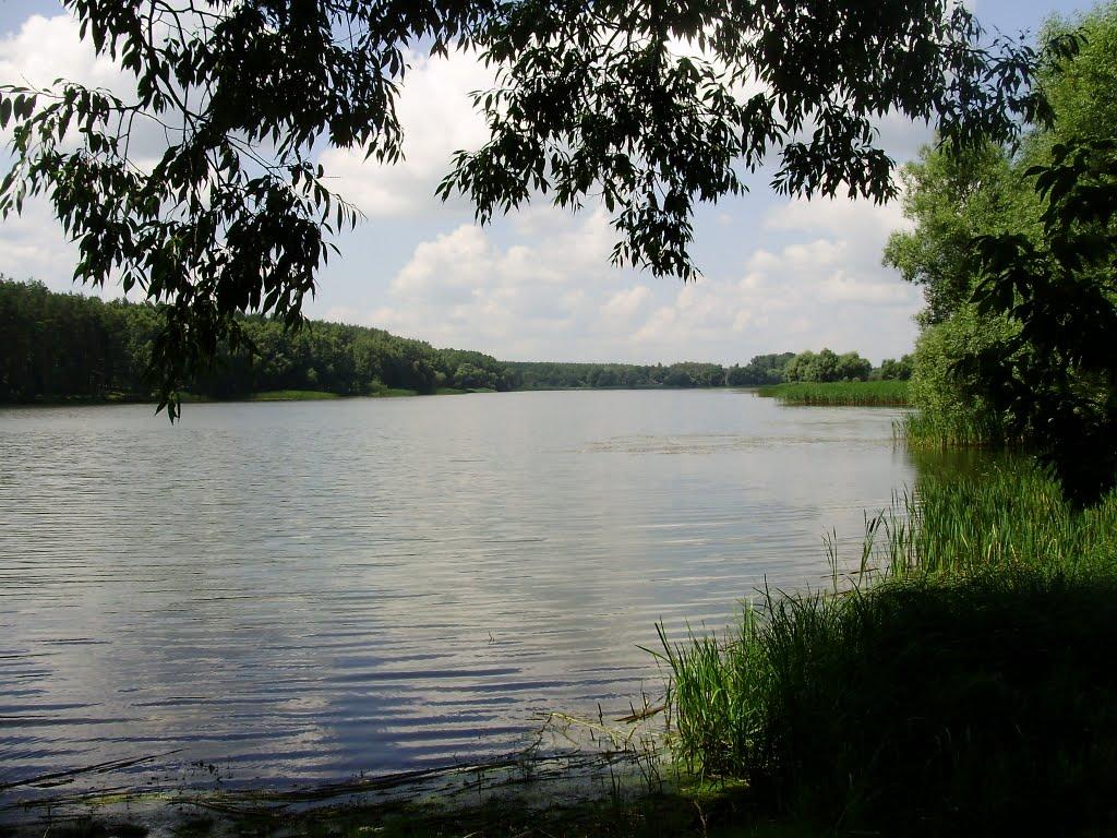 Пилиповичі з panoramio.com - Пилиповичі