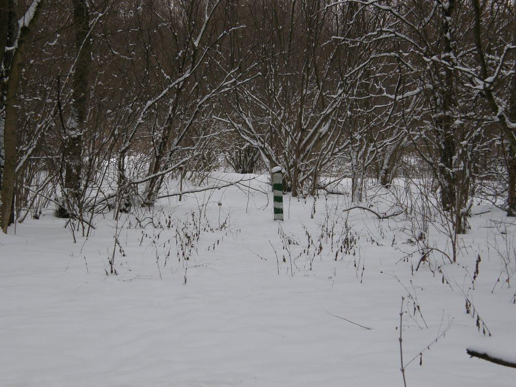 Заріг з panoramio.com - Зарог