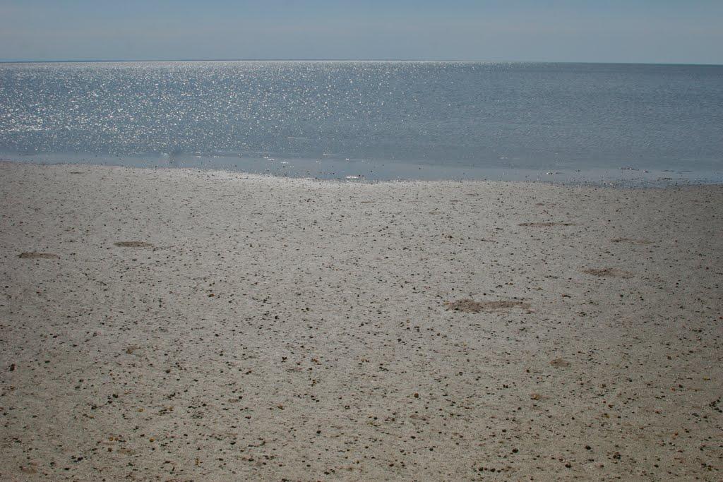 Львове з panoramio.com - Львове