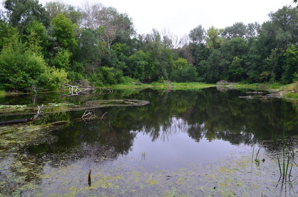 Яреськи з panoramio.com - Яреськи