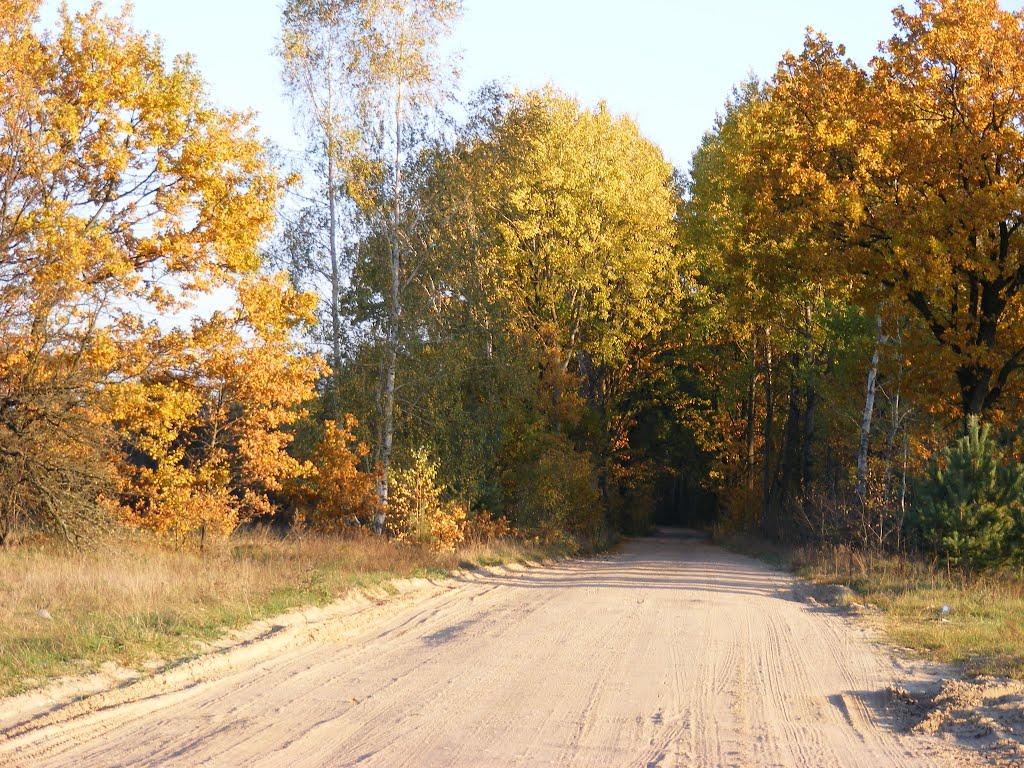 Хрипськ з panoramio.com - Khrypsk