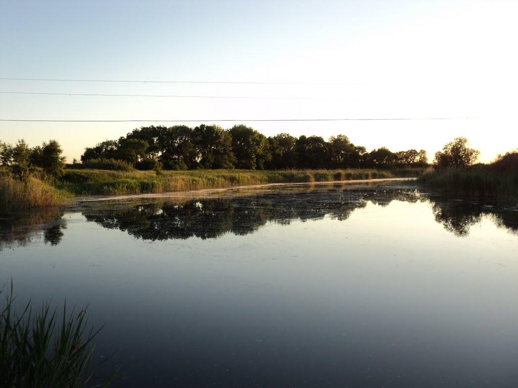 Комар з panoramio.com - Комар