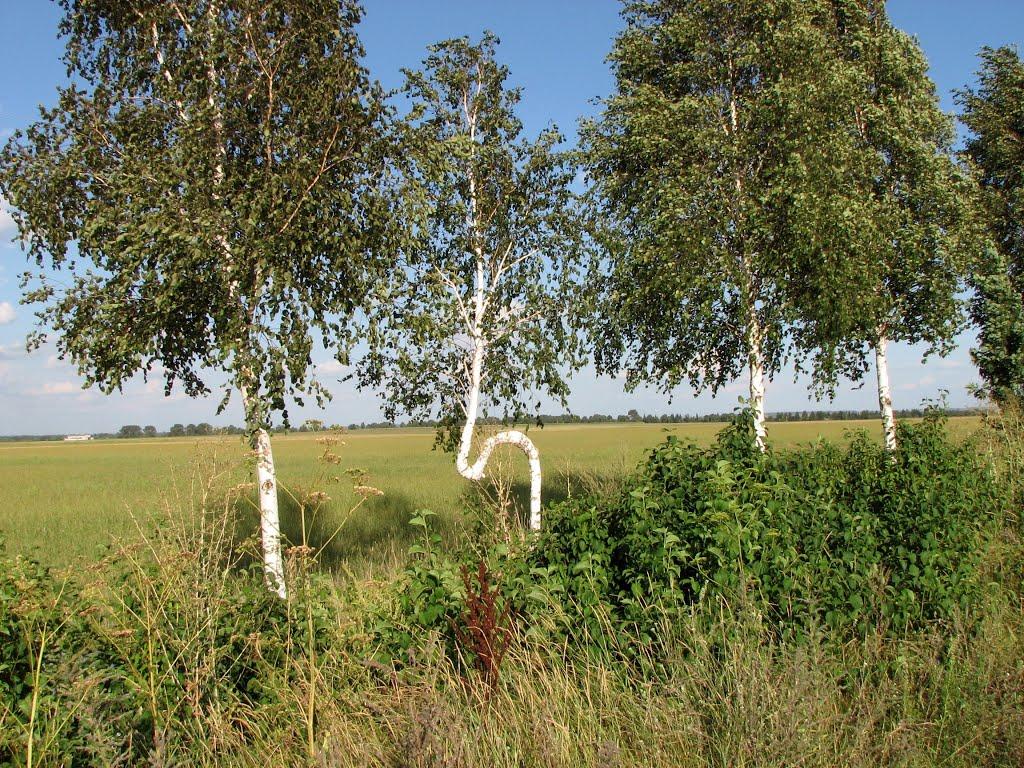 Вишнопіль з panoramio.com - Вишнопіль