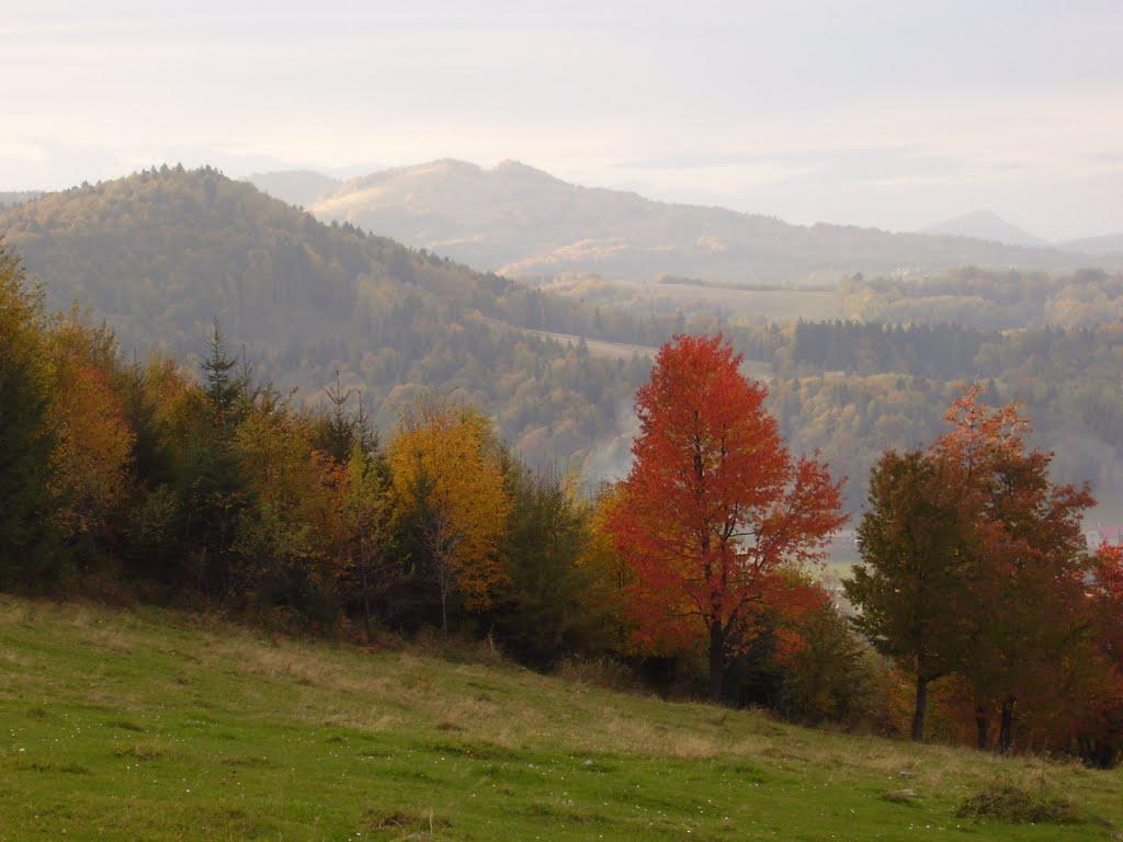 Банилів-Підгірний з panoramio.com - Банилів-Підгірний