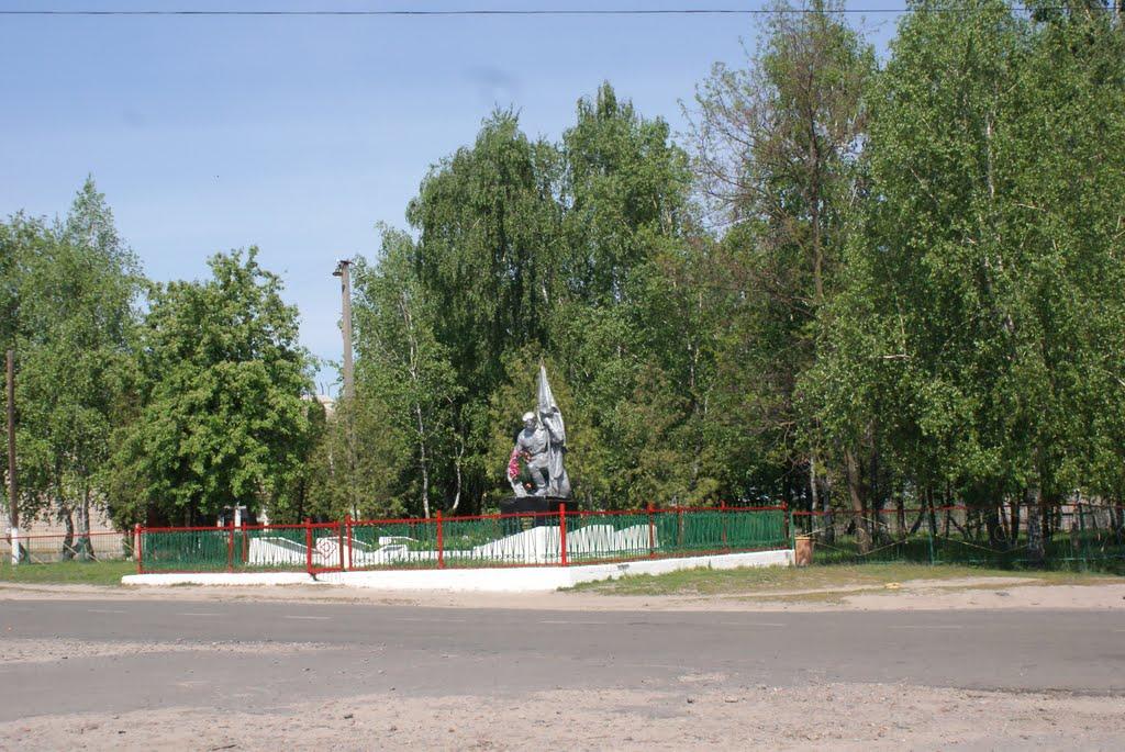 Дорогинка з panoramio.com - Дорогинка