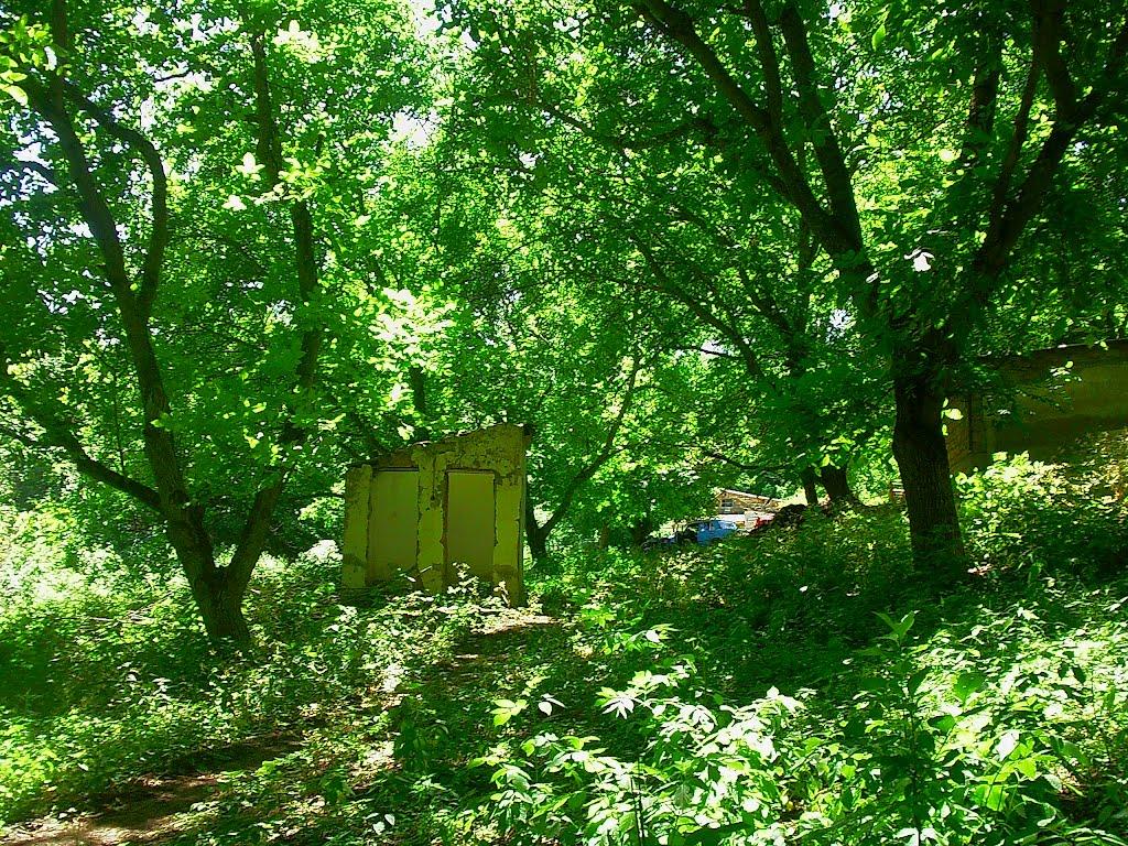 Краснолісся з panoramio.com - Краснолісся
