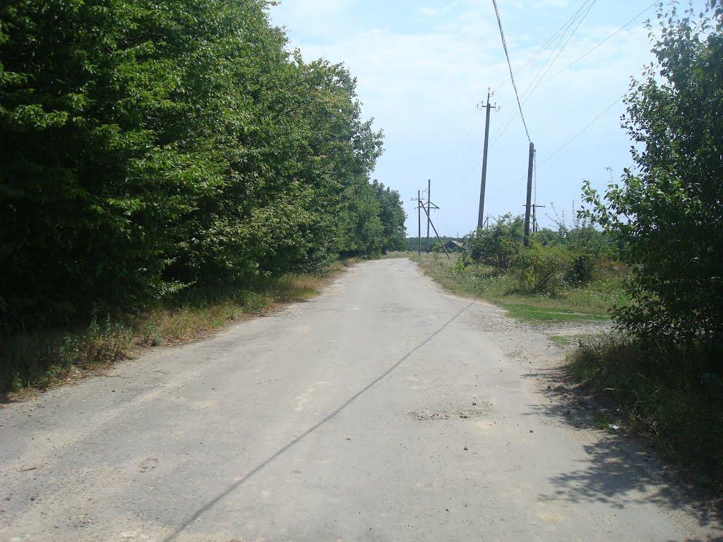 Ставчани з panoramio.com - Ставчаны