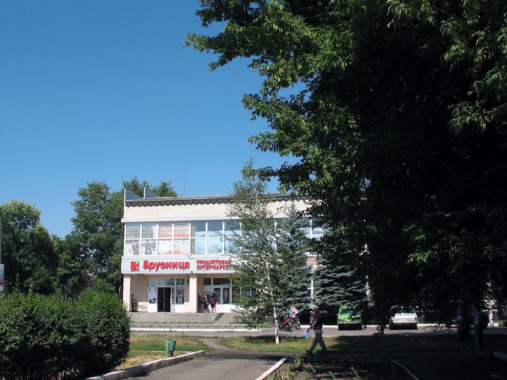 Петропавлівка з panoramio.com - Петропавлівка
