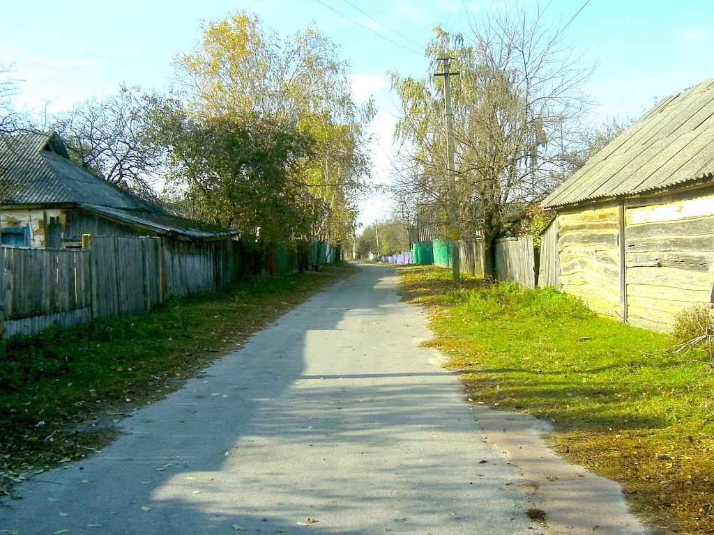 Слабин з panoramio.com - Слабин