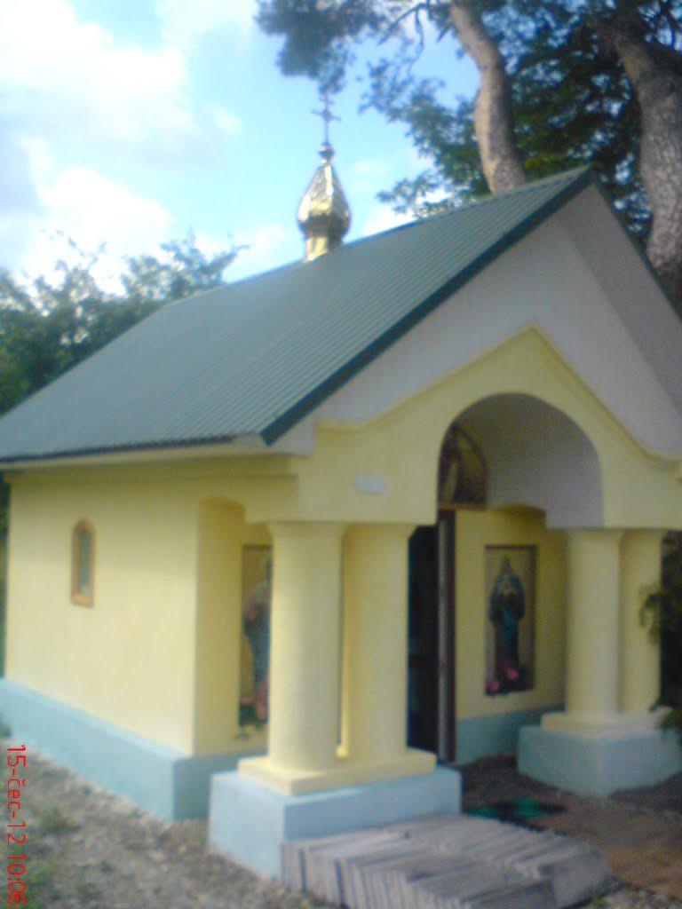 Трушевичі з panoramio.com - Трушевичи