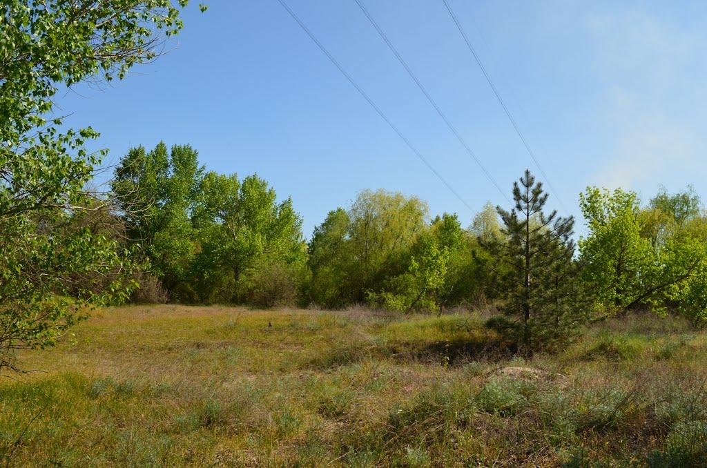 Енергодар з panoramio.com - Energodar