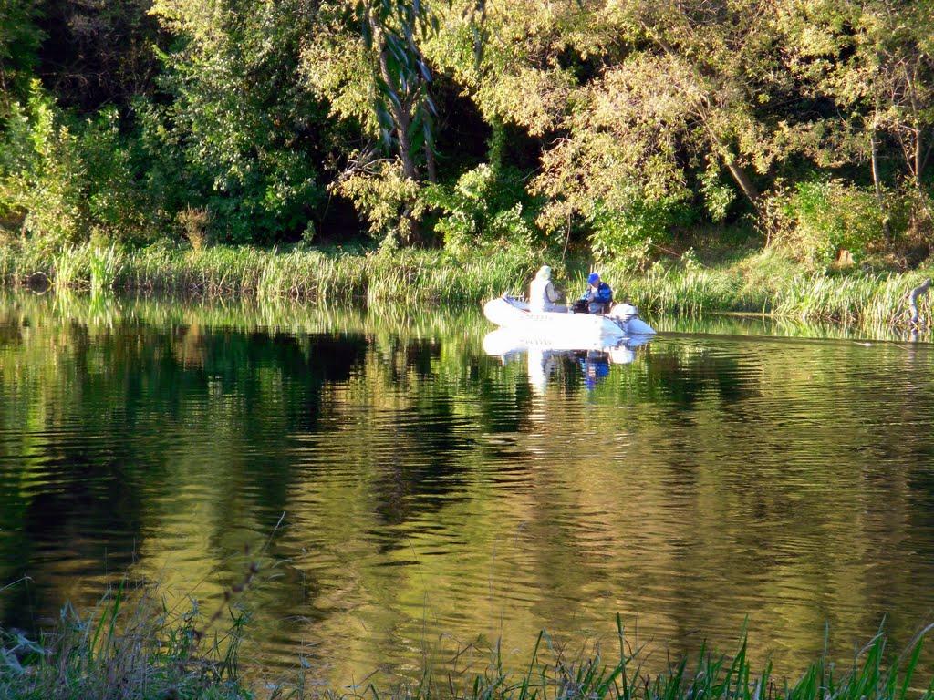 Довге з panoramio.com - Довге