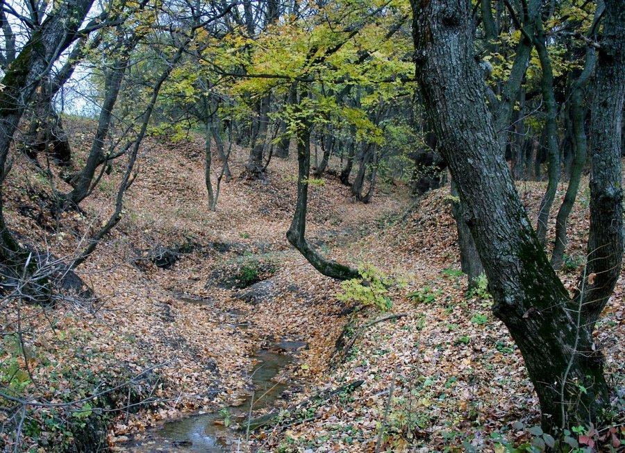 Підлісне з panoramio.com - Підлісне