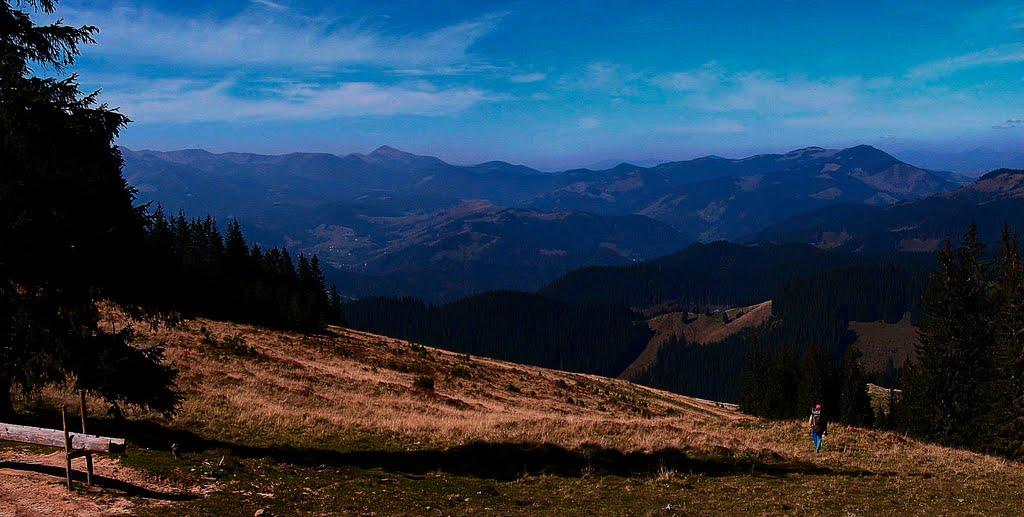 Топільче з panoramio.com - Топільче