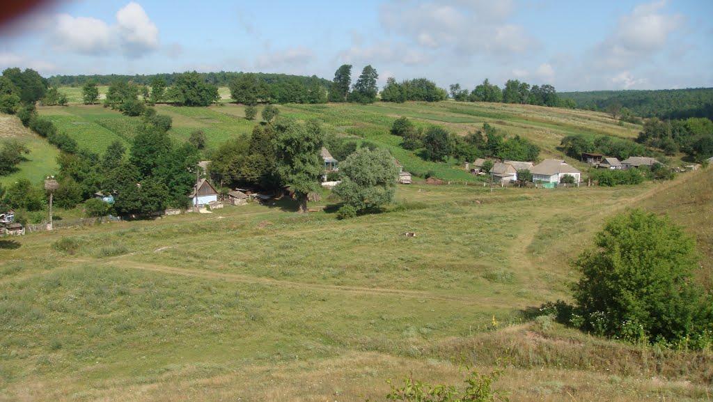 Лучинчик з panoramio.com - Лучинчик