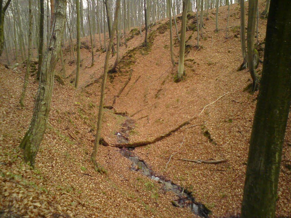 Козулька з panoramio.com - Козулька