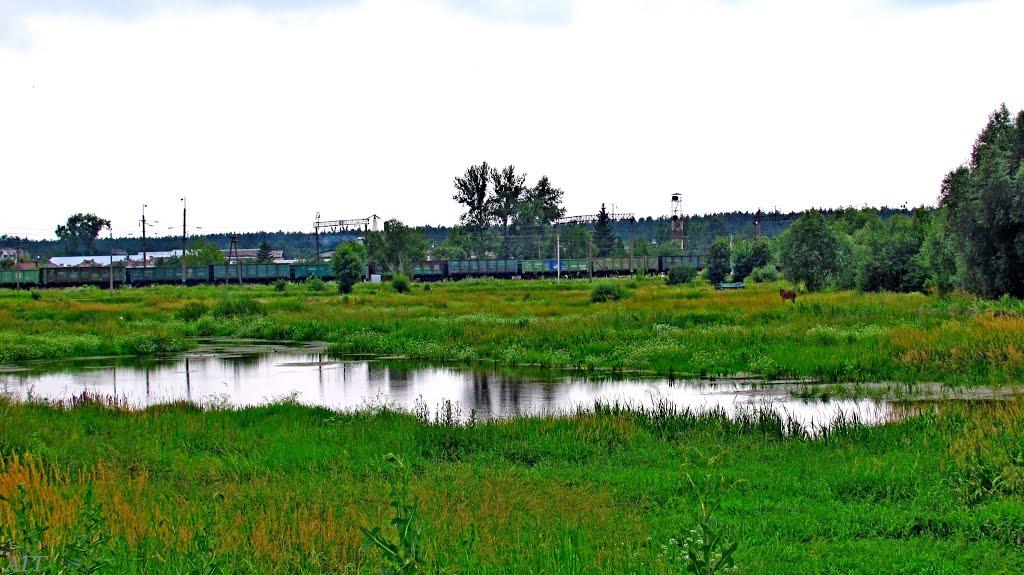 Броди з panoramio.com - Brody