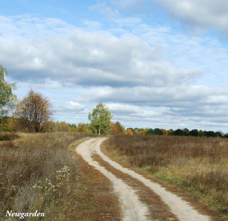 Старі Кошари з panoramio.com - Старі Кошари