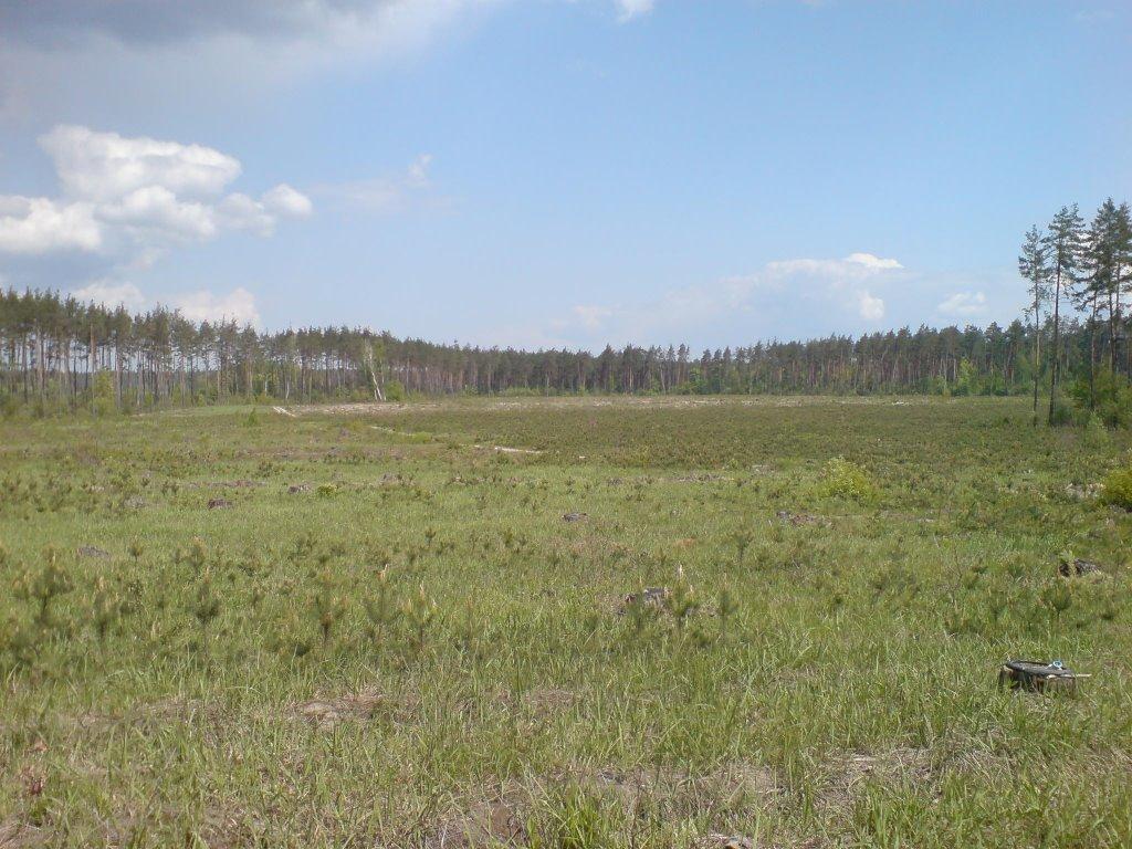 Горенка з panoramio.com - Горенка