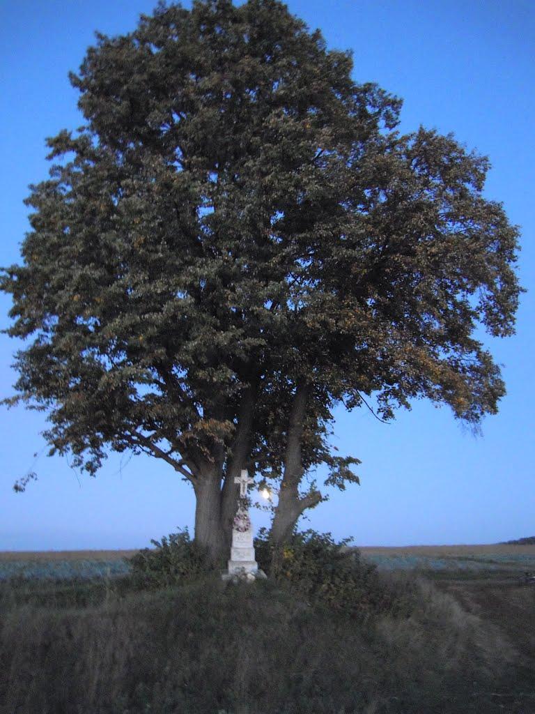 Вислобоки з panoramio.com - Вислобоки